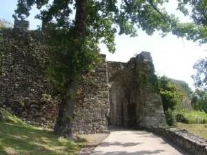 Castles Gate