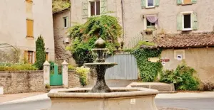 The village and its fountain