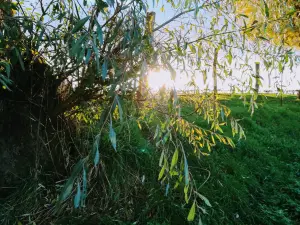 Contrebas de un campo a la entrada de Ames