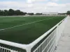 New synthetic field