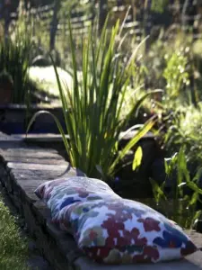 Vijver met waterplanten