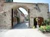 Andlau - La porte sud, vue de l'extérieur (© J.E)