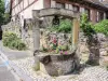 Andlau - Puits ancien (© J.E)
