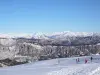 Andon - Лыжи на аудиберге