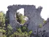 Andon - Панорамирование оставшейся стены древней крепости Кастелларас в Торенце (© J.E)