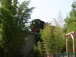 セヴェンヌ蒸気機関車