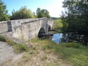 Puente Brassiaud