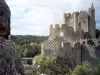 La forteresse épiscopale d'Angles-sur-l'Anglin