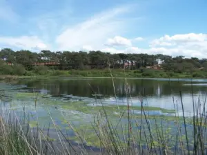 Parc écologique Izadia