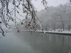 Gehen Sie die Avenue d'Albigny bei Annecy entlang