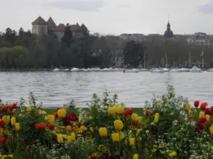 Annecy - ​​Uitzicht op kasteel vanaf Bosson Park (imperiaal)