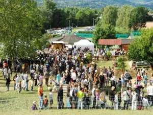 Seynod - Altes Seynod Festival