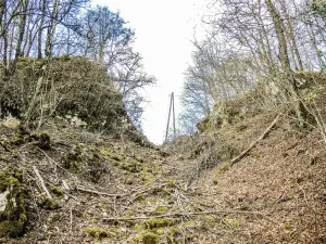 Fossé défensif est du château de Bermont (© J.E)