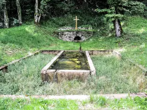 Anteuil - Fontaine, source et croix de Greutal (© J.E)