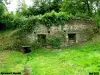 Apremont - At the foot of the castle, a mill ruin