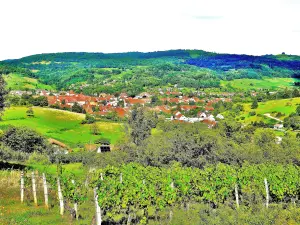 Panorama de la carretera a Montigny-les-Arsures (© Jean Espirat)