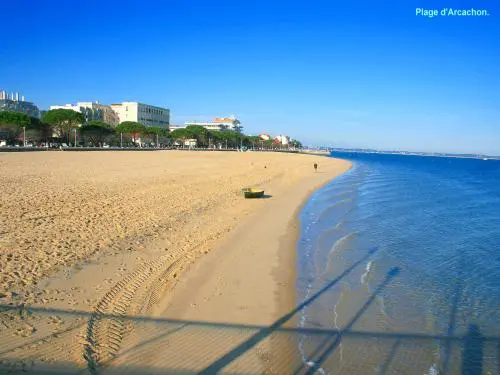 Arcachon（©J.E）