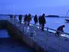 Pescatore sul pontile sulla punta di Arradon