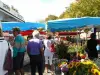 Markt (© Mairie d'Arradon)