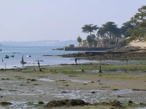 Arradon - Tourism, holidays & weekends guide in the Morbihan