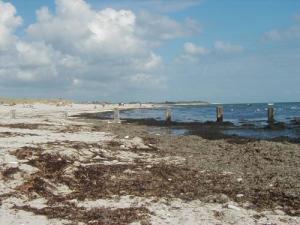 ars en ré tourism holidays weekends