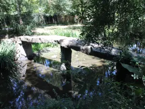 Megalithic Bridge