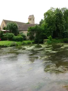 Vue depuis le pont en été