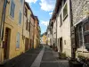 Rue principale d'Aspres-sur-Buëch (© J.E)