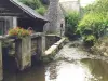 Athis-Val de Rouvre - Guía turismo, vacaciones y fines de semana en Orne