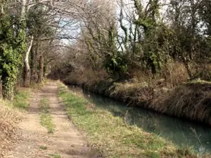 Canal de Carpentras