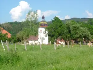 Paisaje bucólico