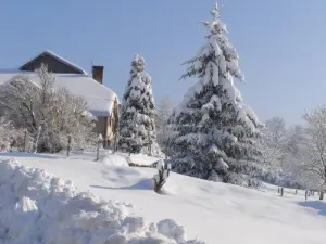 Paisaje de invierno