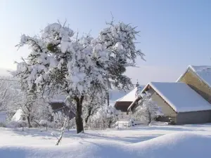 Paisaje de invierno