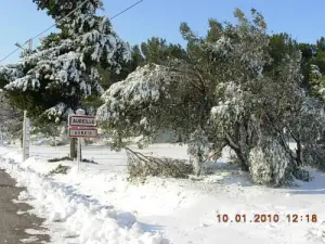 Aureille in de sneeuw