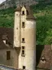 Tower of the castle of Limargue