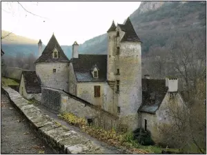 Château de Limargue