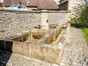 Lugar de riego de Fontaine-lavoir (© J.E)