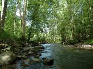 Il cugino Valley