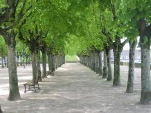 La Promenade des Terreaux Vauban