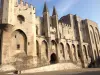 教皇宫殿（©F.Olliver-Avignon 旅游）
