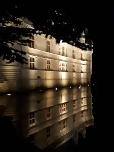 Castello d'Azay-le-Rideau di notte