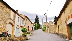 The village