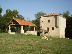 Mühle von Bagas