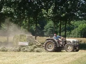 Het hooi uit Bagneres