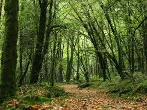 Orientierungsrundgang