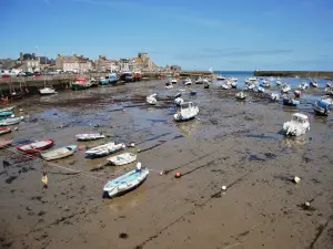 En la marea baja