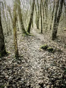 Sentiero lungo il bordo orientale del campo neolitico Chataillon (© J.E)