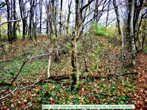 Nördlicher Wall des befestigten Lebensraums von Châtaillon (© J.E)