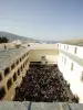 バスティア博物館の発足
