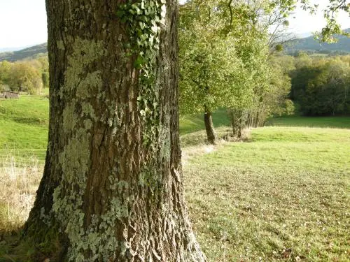 Photos Baulou Tourisme, Vacances & Weekend